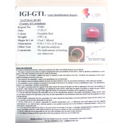 3.26 Ratti Natural Mozambique Ruby with Govt. Lab Certificate-(12210)